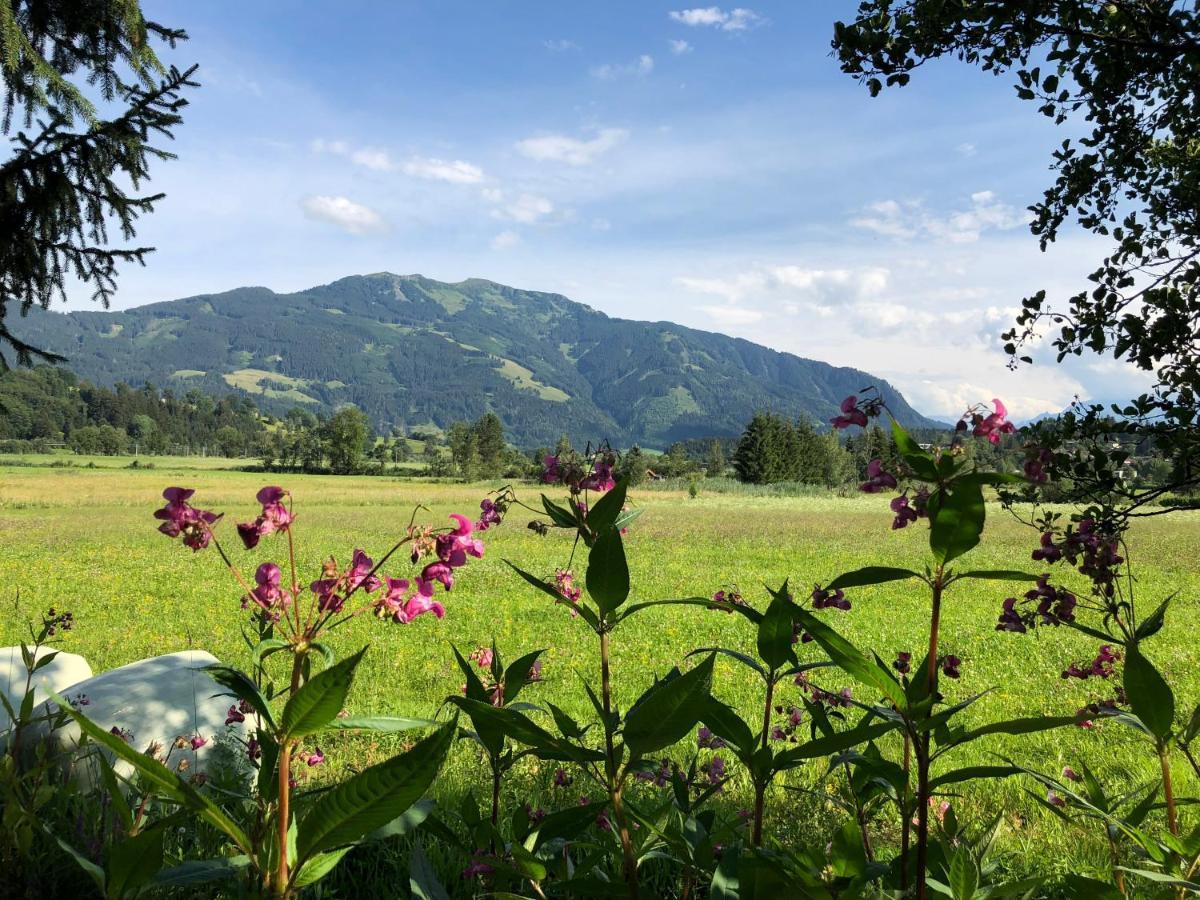 Pension Erlhof Hotel Saalfelden Eksteriør billede