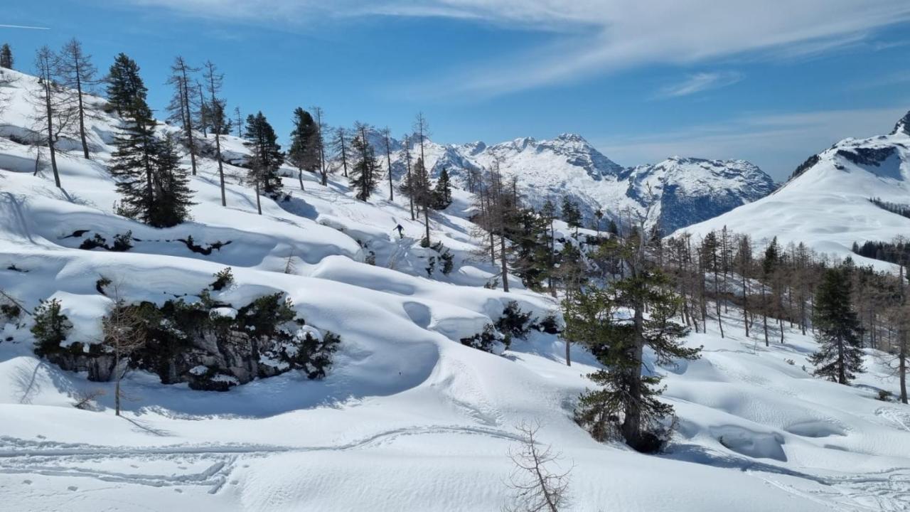 Pension Erlhof Hotel Saalfelden Eksteriør billede