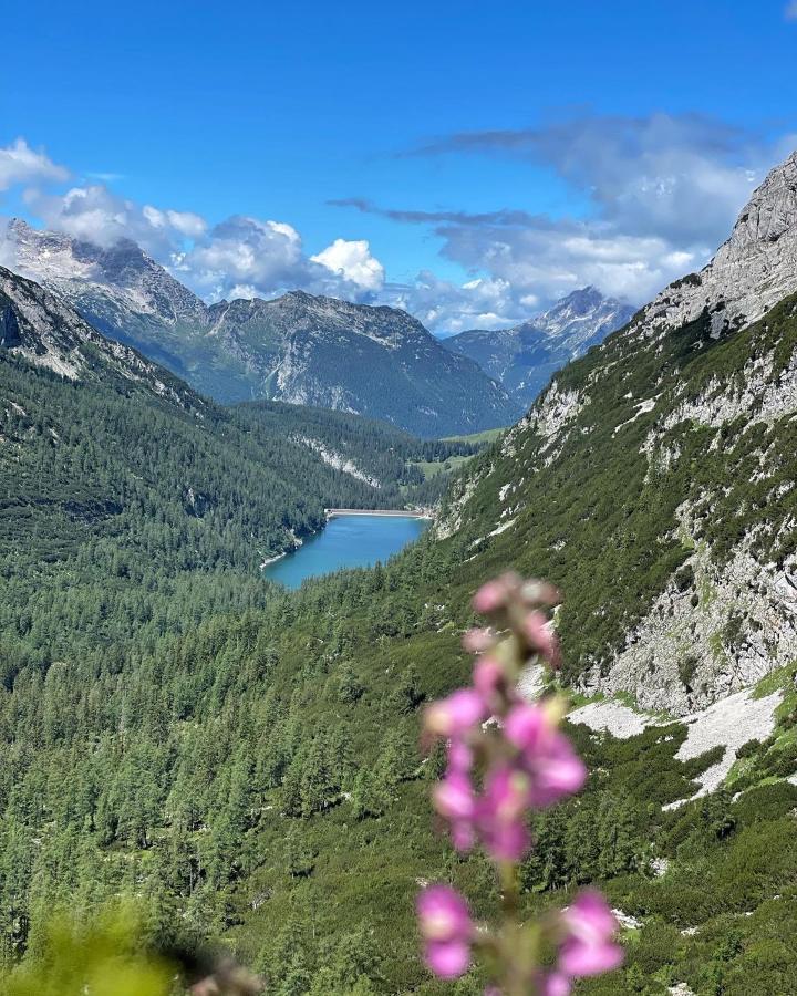 Pension Erlhof Hotel Saalfelden Eksteriør billede