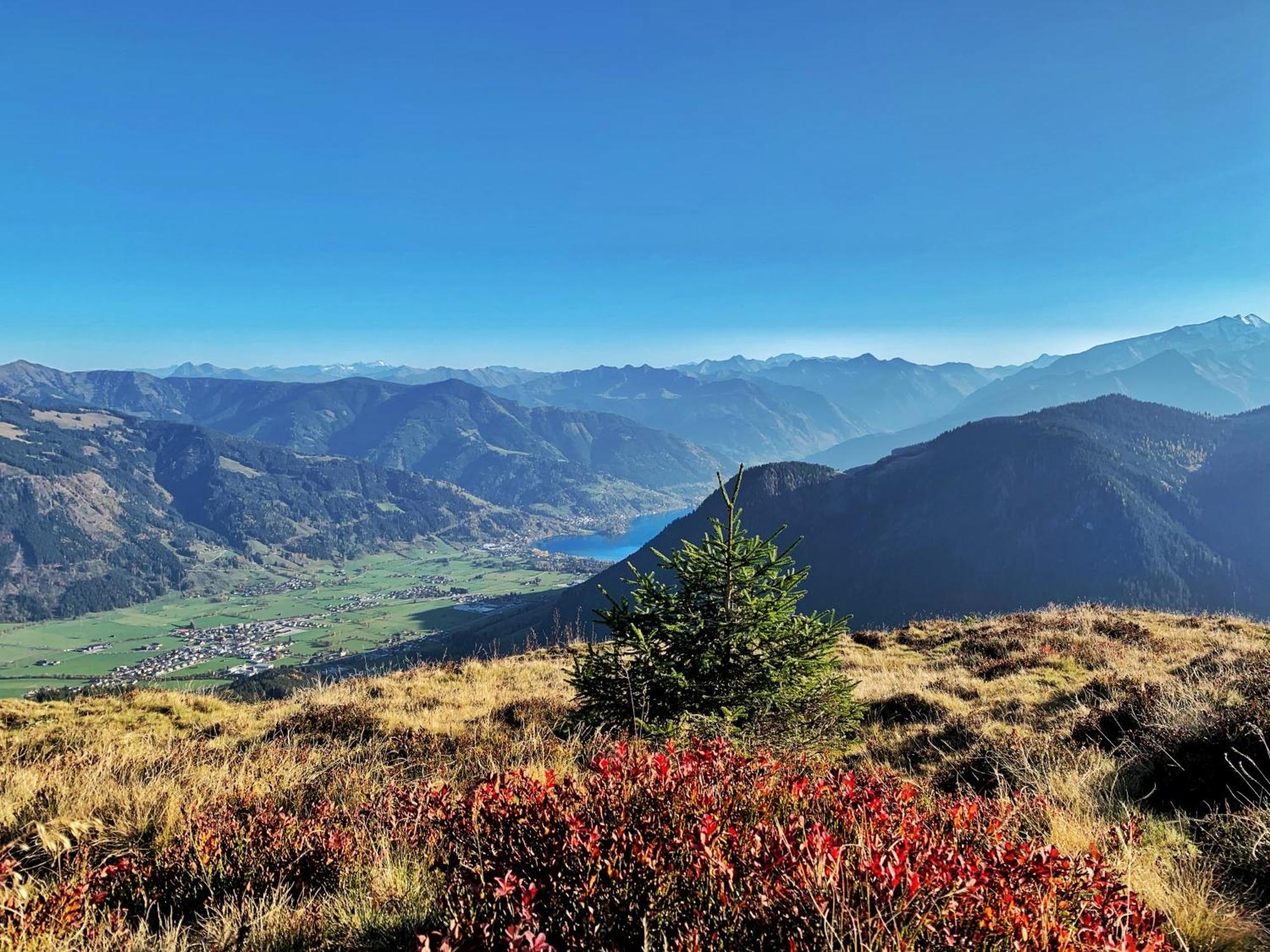 Pension Erlhof Hotel Saalfelden Eksteriør billede