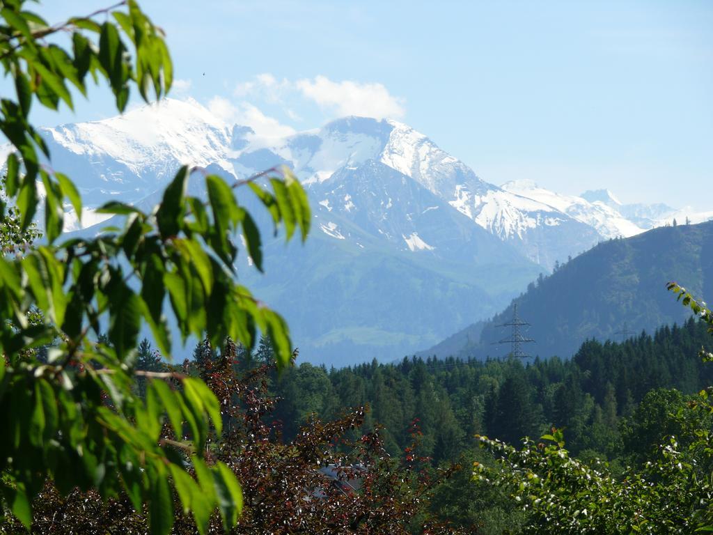 Pension Erlhof Hotel Saalfelden Værelse billede