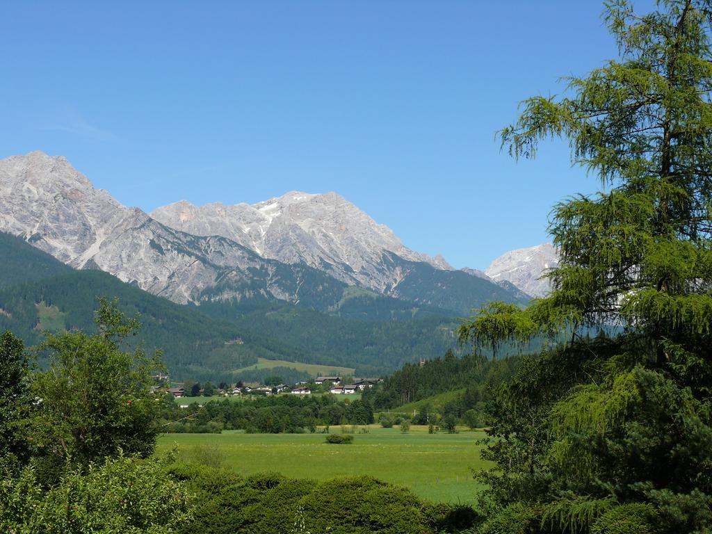 Pension Erlhof Hotel Saalfelden Værelse billede